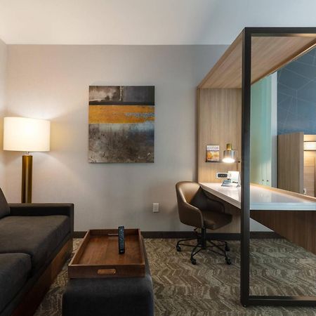 Springhill Suites By Marriott Chattanooga South/Ringgold Zewnętrze zdjęcie