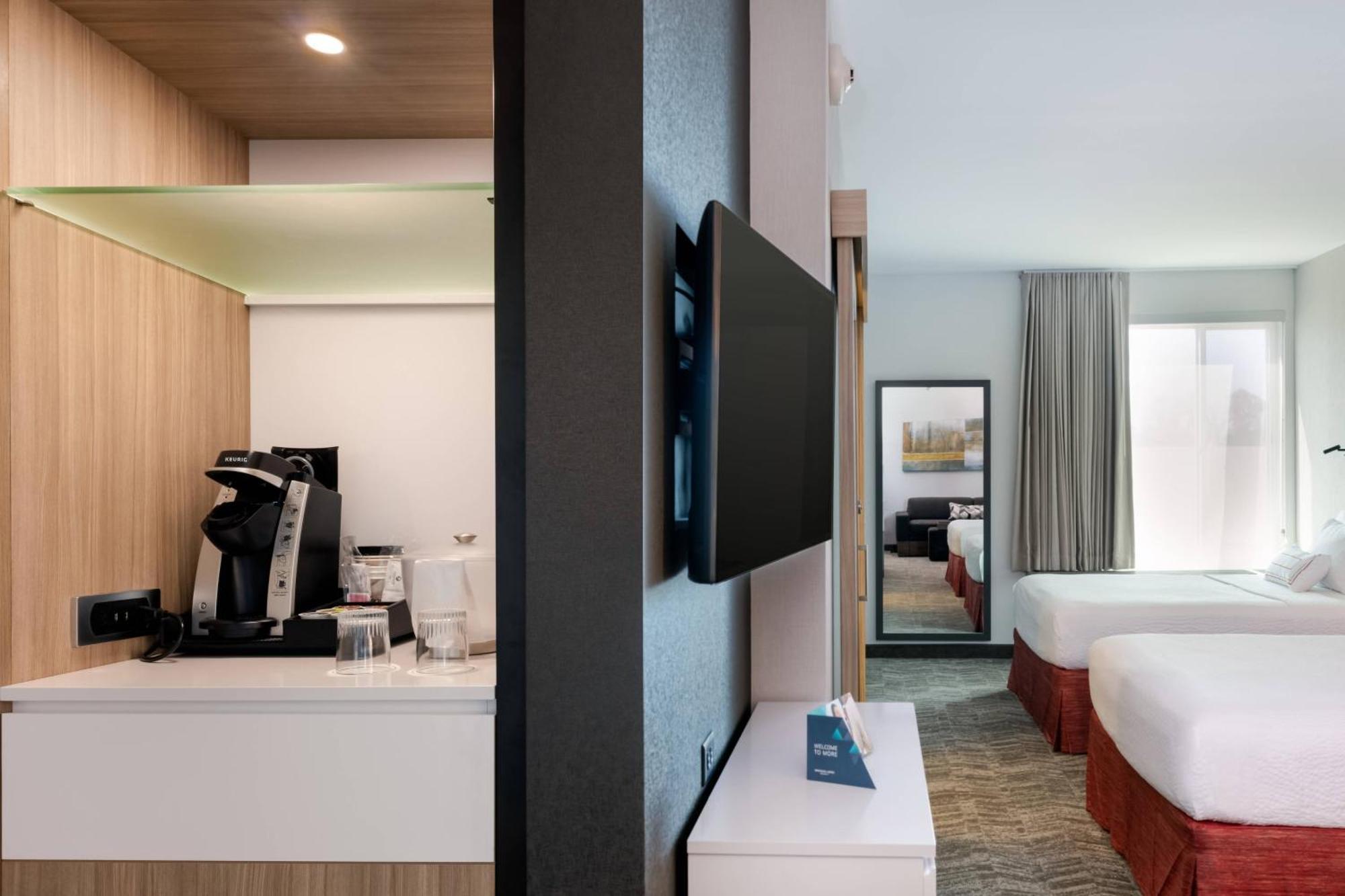 Springhill Suites By Marriott Chattanooga South/Ringgold Zewnętrze zdjęcie